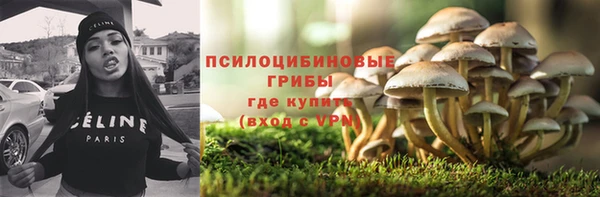 а пвп мука Верхний Тагил