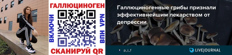Псилоцибиновые грибы мицелий  Купить  Каменногорск 